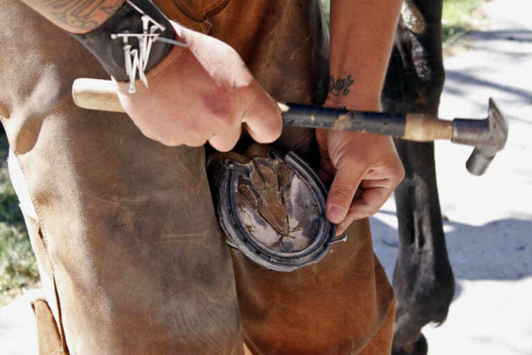 primer plano de las manos del herrero clavando una herradura a un caballo de carrera