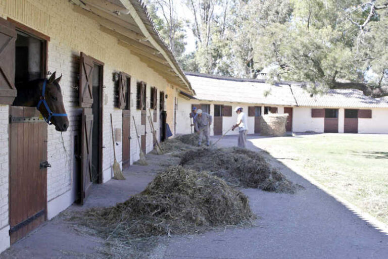 boxes de caballos y gente trabajando