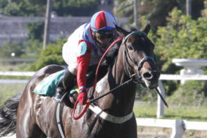 caballo corriendo la carrera clasico uruguay
