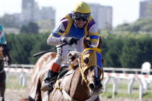 llegada carrera de caballos general bosch