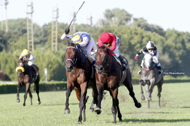 Gran Premio Miguel Alfredo Martínez de Hoz Turf Hipódromo de San Isidro