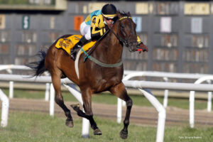 llegada carrera de caballos clasico viamonte
