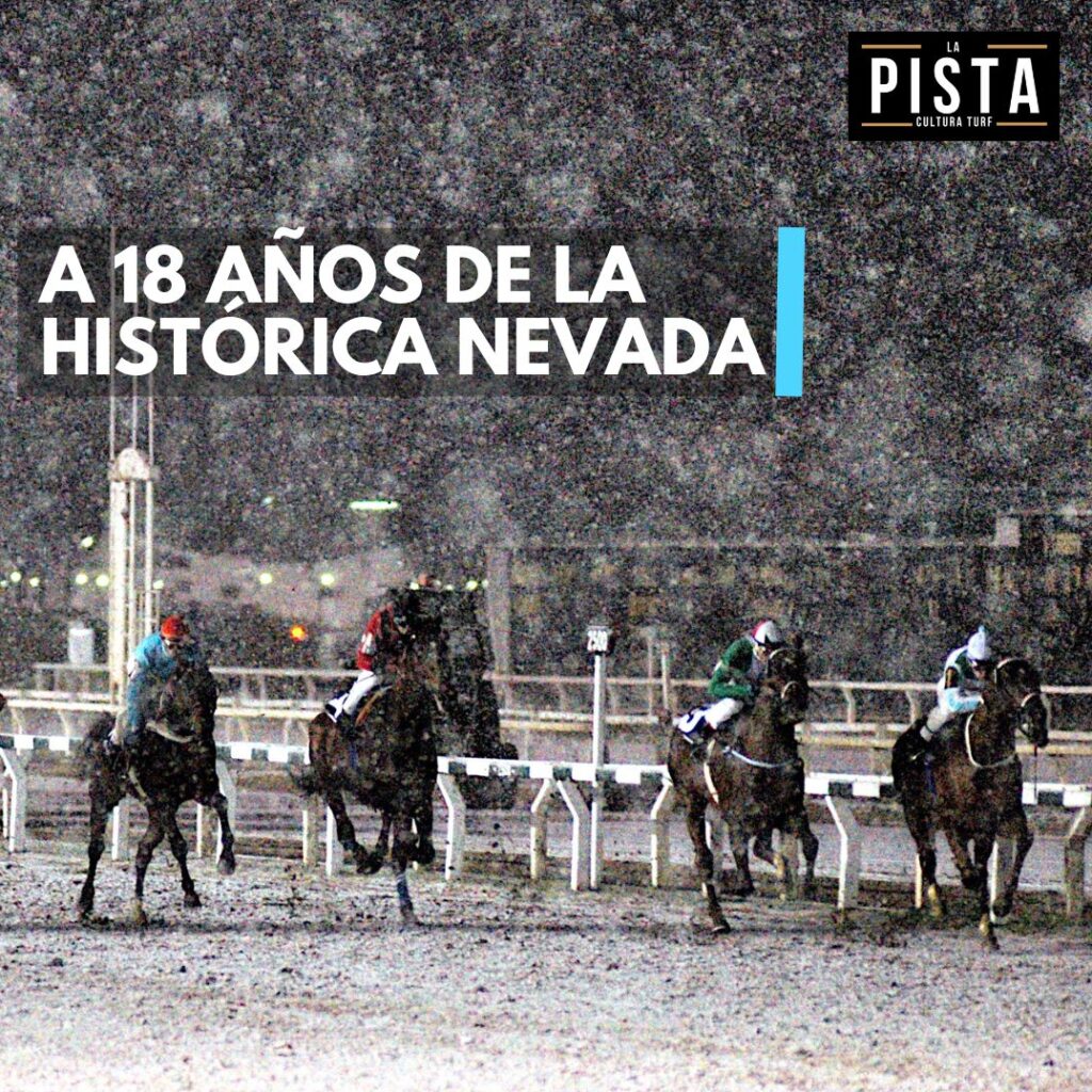 EL DÍA QUE PALERMO SE TIÑÓ DE BLANCO – A 18 años de la histórica nevada