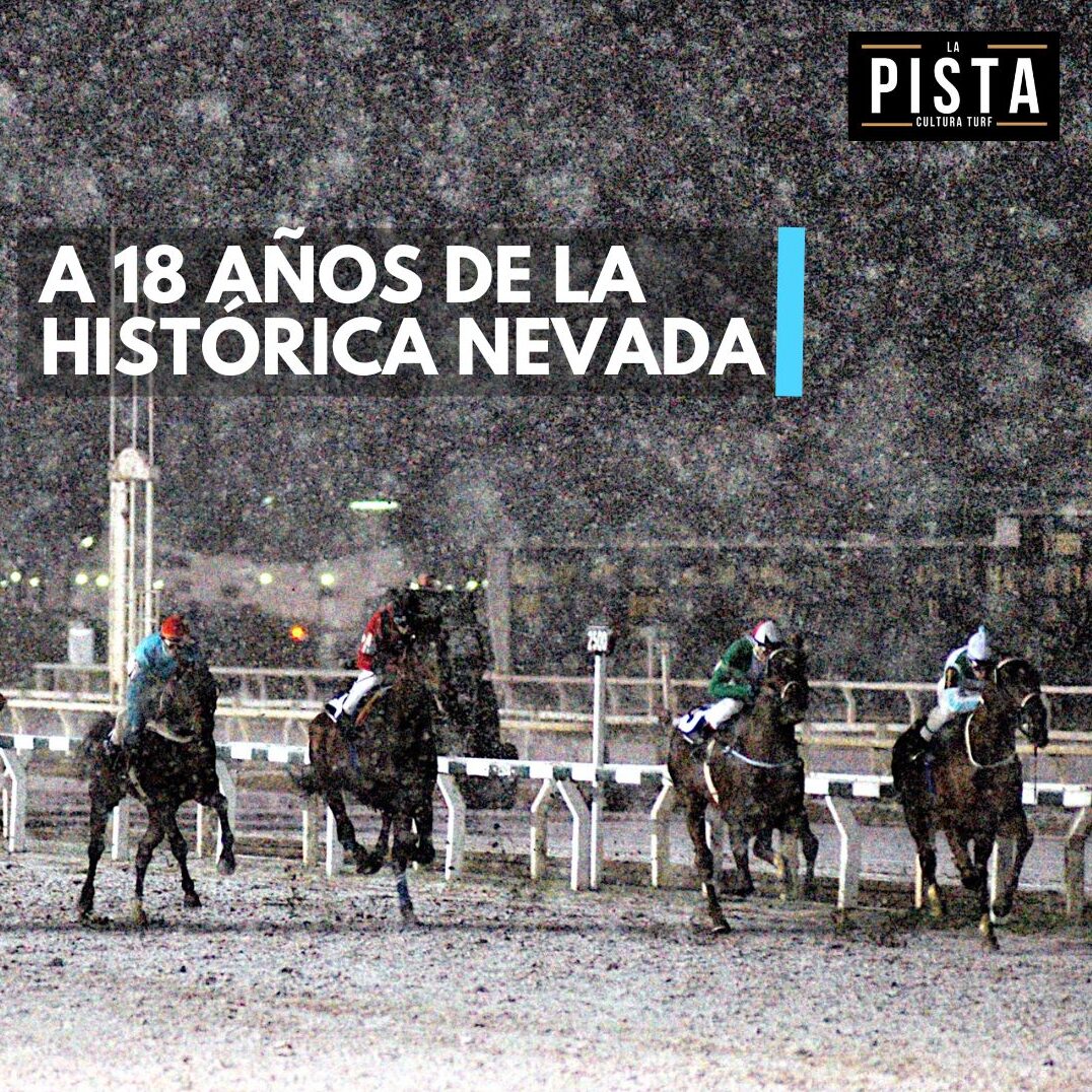 EL DÍA QUE PALERMO SE TIÑÓ DE BLANCO – A 18 años de la histórica nevada