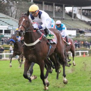 GP 2000 GUINEAS – The Great Racing sacó dos cuerpos