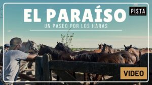 UN PASEO POR LOS HARAS: Haras El Paraíso