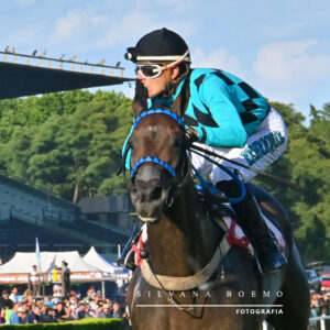 GP COPA DE PLATA – Knows All venció por cuatro cuerpos