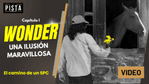 WONDER: UNA ILUSIÓN MARAVILLOSA – Un grupo reunido para fomentar la actividad turfística
